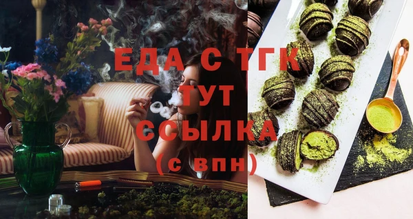 гидра Вязьма