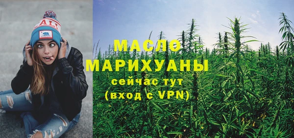 гидра Вязьма