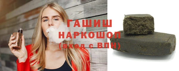 гидра Вязьма