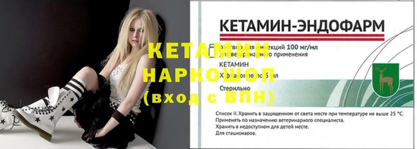 гидра Вязьма