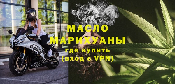 гидра Вязьма