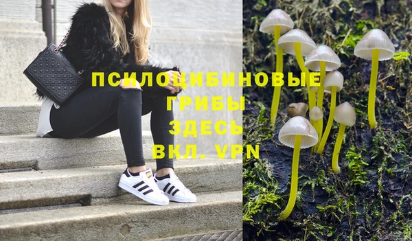 mix Вяземский