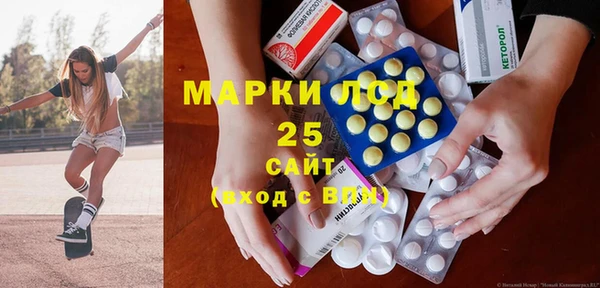 гидра Вязьма
