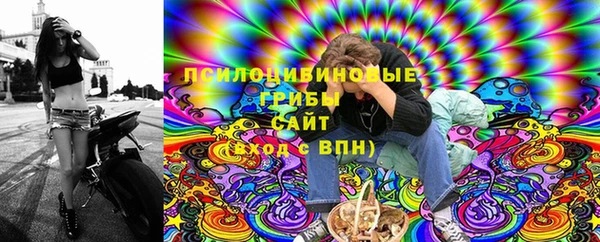 mix Вяземский